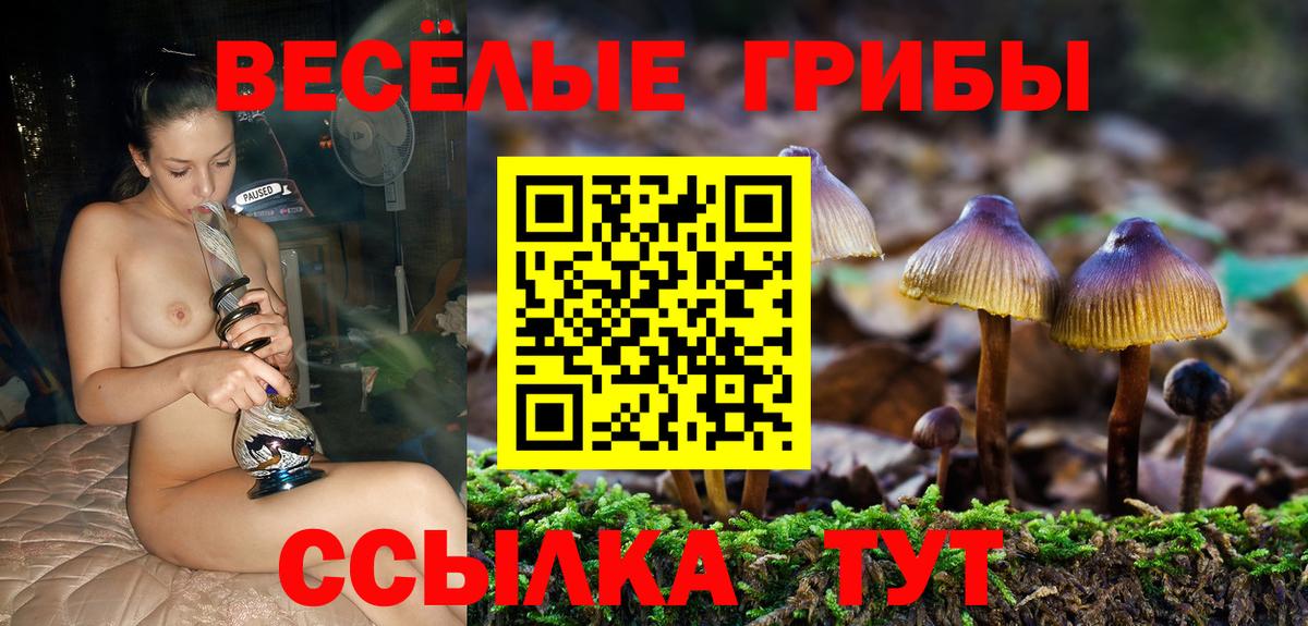 Галлюциногенные грибы Cubensis Серов